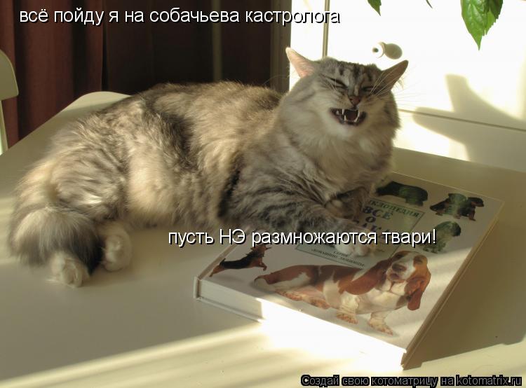 всё пойду я на собачьева кастролога пусть НЭ размножаются твари!... Котоматрица: всё пойду я на собачьева кастролога пусть НЭ размножаются твари!