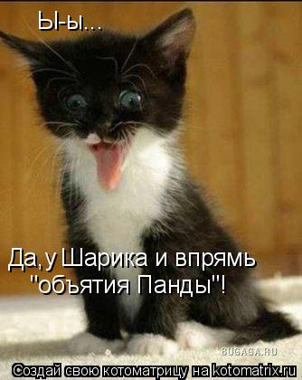 Ы-ы... Да,у Шарика и впрямь "объятия Панды"!... Котоматрица: Ы-ы... Да,у Шарика и впрямь "объятия Панды"!