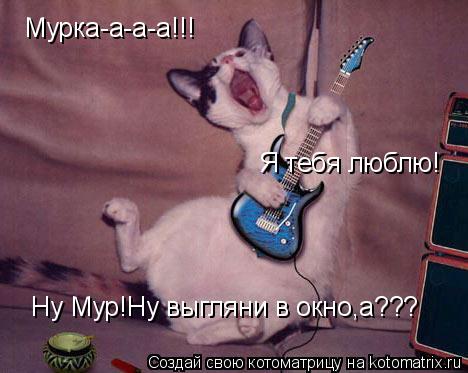 Мурка-а-а-а!!! Я тебя люблю! Ну Мур!Ну выгляни в окно,а???... Котоматрица: Мурка-а-а-а!!! Я тебя люблю! Ну Мур!Ну выгляни в окно,а???