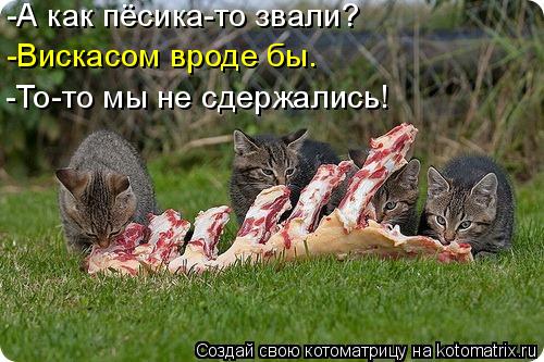 -А как пёсика-то звали? -Вискасом вроде бы. -То-то мы не сдержались!... Котоматрица: -А как пёсика-то звали? -Вискасом вроде бы. -То-то мы не сдержались!
