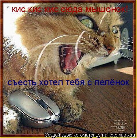 кис кис кис сюда мышонок! съесть хотел тебя с пелёнок... Котоматрица: кис кис кис сюда мышонок! съесть хотел тебя с пелёнок