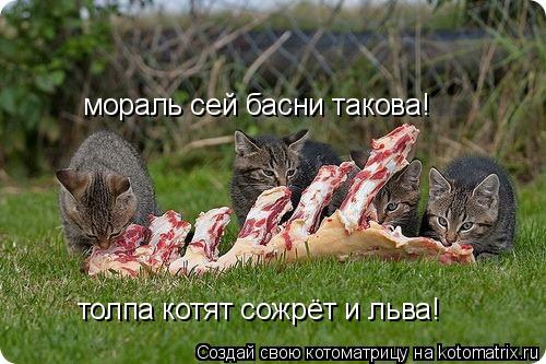 мораль сей басни такова! толпа котят сожрёт и льва!... Котоматрица: мораль сей басни такова! толпа котят сожрёт и льва!