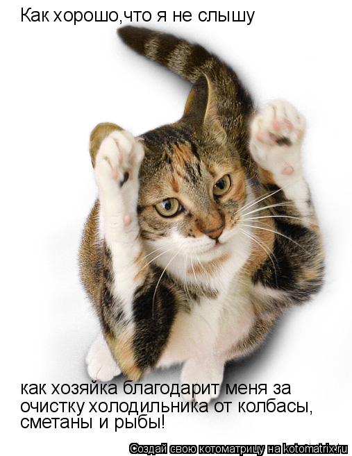 Как хорошо,что я не слышу как хозяйка благодарит меня за очистку холодильника от колбасы, сметаны и р... Котоматрица: Как хорошо,что я не слышу как хозяйка благодарит меня за очистку холодильника от колбасы, сметаны и рыбы. !