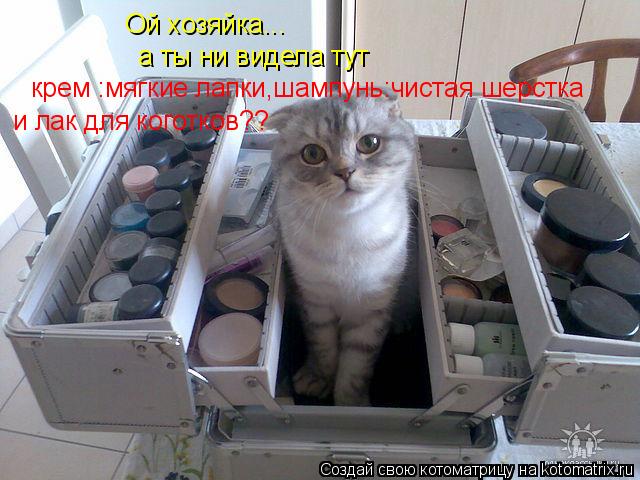 Ой хозяйка... а ты ни видела тут крем :мягкие лапки,шампунь:чистая шерстка и лак для коготков?... Котоматрица: Ой хозяйка... а ты ни видела тут крем :мягкие лапки,шампунь:чистая шерстка и лак для коготков??