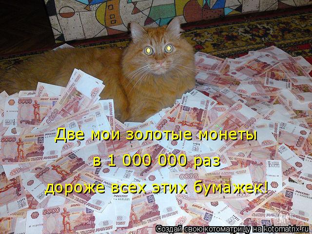Две мои золотые монеты в 1 000 000 раз дороже всех этих бумажек!... Котоматрица: Две мои золотые монеты в 1 000 000 раз дороже всех этих бумажек!