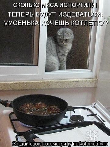 СКОЛЬКО МЯСА ИСПОРТИЛИ! ТЕПЕРЬ БУДУТ ИЗДЕВАТЬСЯ: МУСЕНЬКА ХОЧЕШЬ КОТЛЕТКУ?... Котоматрица: СКОЛЬКО МЯСА ИСПОРТИЛИ! ТЕПЕРЬ БУДУТ ИЗДЕВАТЬСЯ: МУСЕНЬКА ХОЧЕШЬ КОТЛЕТКУ?