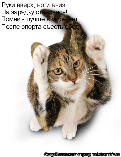 Руки вверх, ноги вниз На зарядку становись! Помни - лучше в мире нет, После спорта съесть обед!... Котоматрица: Руки вверх, ноги вниз На зарядку становись! Помни - лучше в мире нет, После спорта съесть обед!