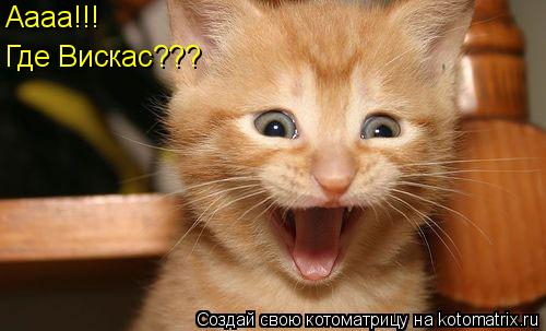 Аааа!!! Где Вискас???... Котоматрица: Аааа!!! Где Вискас???