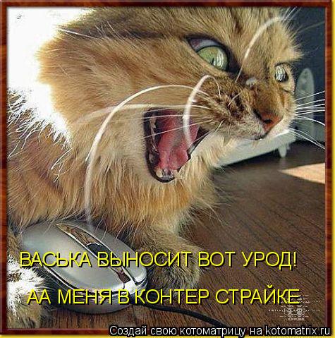 АА МЕНЯ В КОНТЕР СТРАЙКЕ ВАСЬКА ВЫНОСИТ ВОТ УРОД!... Котоматрица: АА МЕНЯ В КОНТЕР СТРАЙКЕ ВАСЬКА ВЫНОСИТ ВОТ УРОД!
