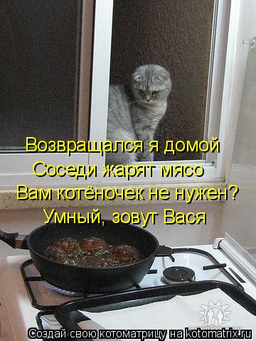 Котоматрица: Возвращался я домой Соседи жарят мясо Вам котёночек не нужен? Умный, зовут Вася