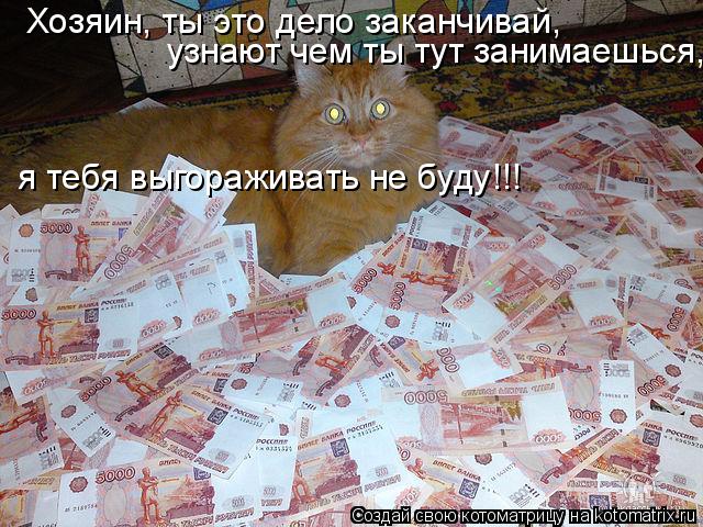 Хозяин, ты это дело заканчивай, я тебя выгораживать не буду!!! узнают чем ты тут занимаешься,... Котоматрица: Хозяин, ты это дело заканчивай, я тебя выгораживать не буду!!! узнают чем ты тут занимаешься,