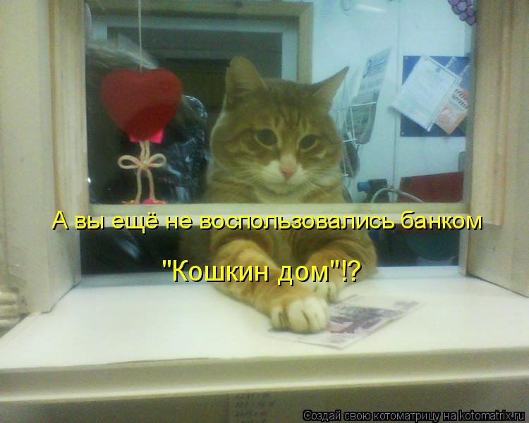 А вы ещё не воспользовались банком "Кошкин дом"!?... Котоматрица: А вы ещё не воспользовались банком "Кошкин дом"!?