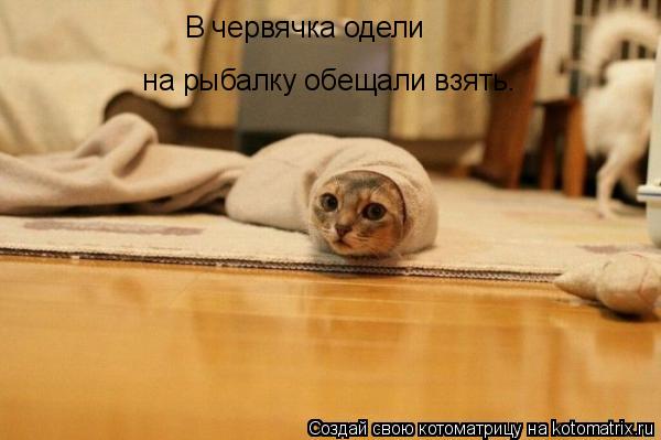 на рыбалку обещали взять. В червячка одели... Котоматрица: на рыбалку обещали взять. В червячка одели