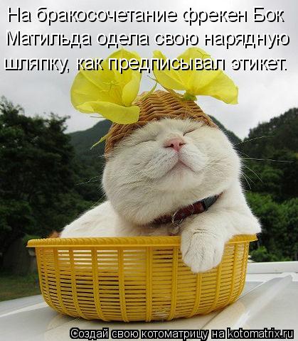 На бракосочетание фрекен Бок Матильда одела свою нарядную шляпку, как предписывал этикет.... Котоматрица: На бракосочетание фрекен Бок Матильда одела свою нарядную шляпку, как предписывал этикет.