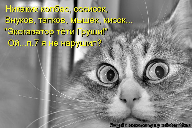 Никаких колбас, сосисок, Внуков, тапков, мышек, кисок... "Экскаватор тёти Груши!" Ой...п.7 я не нару... Котоматрица: Никаких колбас, сосисок, Внуков, тапков, мышек, кисок... "Экскаватор тёти Груши!" Ой...п.7 я не нарушил?
