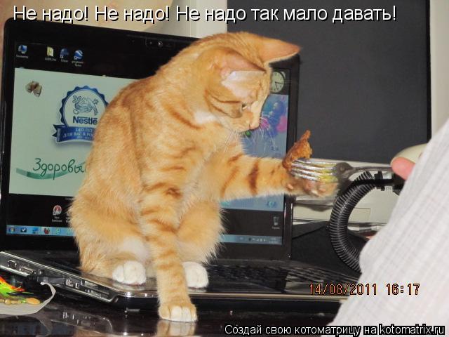 Не надо! Не надо! Не надо так мало давать!... Котоматрица: Не надо! Не надо! Не надо так мало давать!