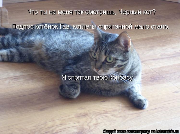 Что ты на меня так смотришь, Чёрный кот? Подрос котёнок Гав, котлеты спрятанной мало стало. Я спрятал... Котоматрица: Что ты на меня так смотришь, Чёрный кот? Подрос котёнок Гав, котлеты спрятанной мало стало. Я спрятал твою колбасу