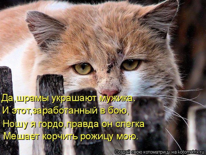 Мешает корчить рожицу мою. Да,шрамы украшают мужика. И этот,заработанный в бою, Ношу я гордо,правда о... Котоматрица: Мешает корчить рожицу мою. Да,шрамы украшают мужика. И этот,заработанный в бою, Ношу я гордо,правда он слегка