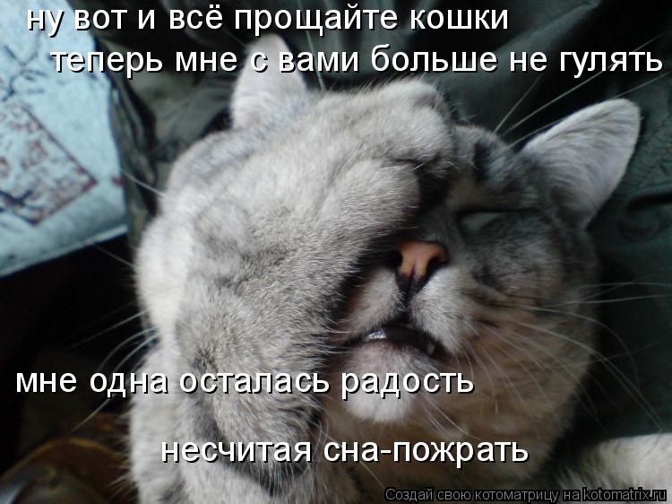 Котоматрица: ну вот и всё прощайте кошки  теперь мне с вами больше не гулять мне одна осталась радость  несчитая сна-пожрать