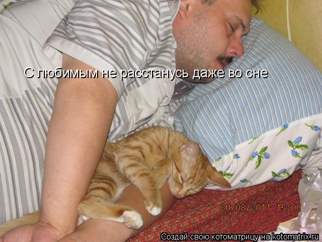 Котоматрица: С любимым не расстанусь даже во сне