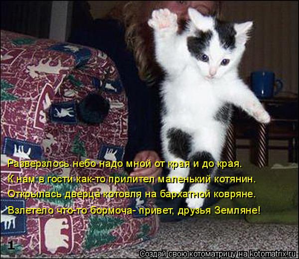 Котоматрица: Разверзлось небо надо мной от края и до края. К нам в гости как-то прилител маленький котянин. Открылась дверца котовля на бархатной ковряне