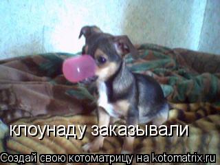 клоунаду заказывали... Котоматрица: клоунаду заказывали