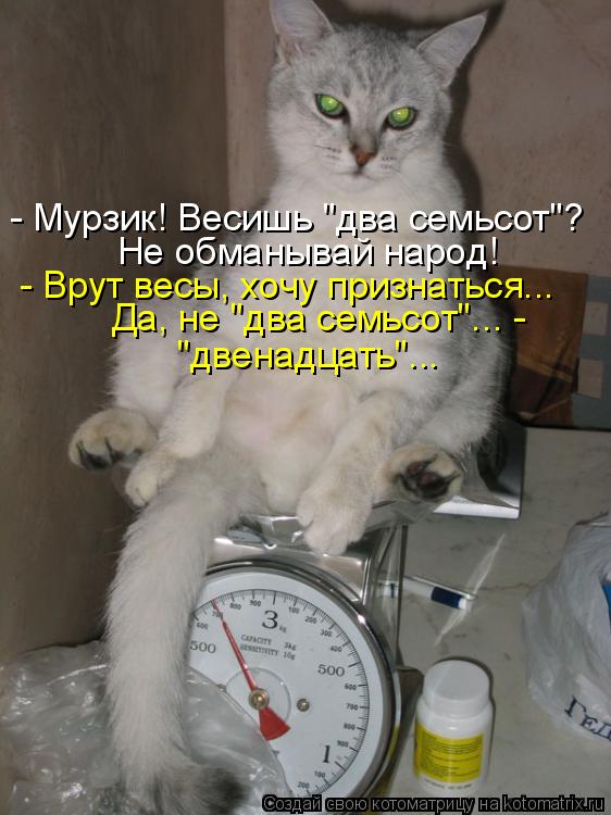- Мурзик! Весишь "два семьсот"? Не обманывай народ! - Врут весы, хочу признаться... Да, не "два семьс... Котоматрица: - Мурзик! Весишь "два семьсот"? Не обманывай народ! - Врут весы, хочу признаться... Да, не "два семьсот"... - "двенадцать"...