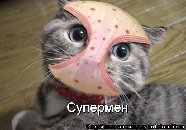 Супермен... Котоматрица: Супермен
