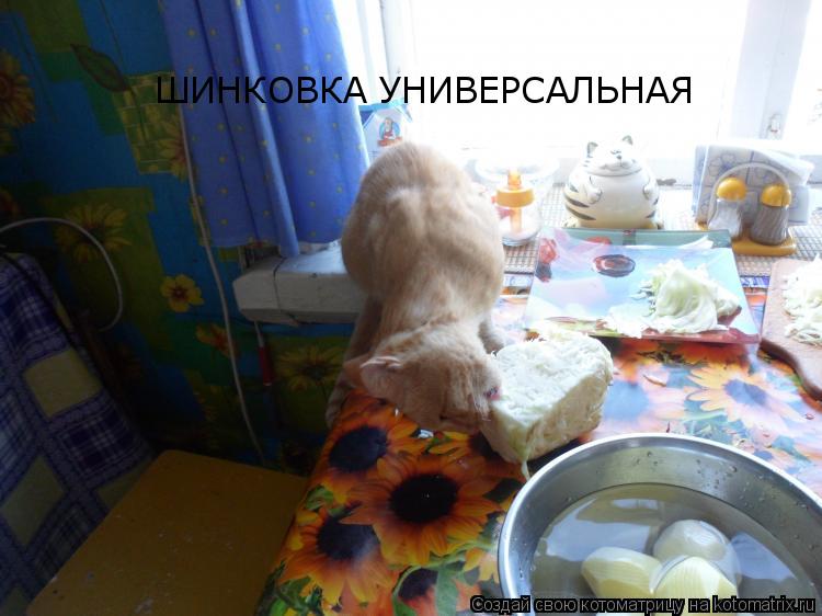 ШИНКОВКА УНИВЕРСАЛЬНАЯ... Котоматрица: ШИНКОВКА УНИВЕРСАЛЬНАЯ