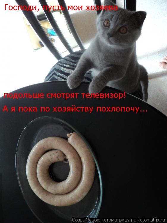 Господи, пусть мои хозяева А я пока по хозяйству похлопочу... подольше смотрят телевизор!... Котоматрица: Господи, пусть мои хозяева А я пока по хозяйству похлопочу... подольше смотрят телевизор!
