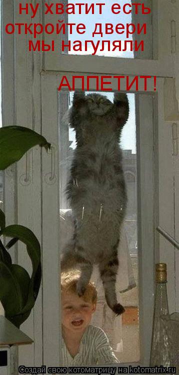 Котоматрица: ну хватит есть откройте двери мы нагуляли АППЕТИТ!