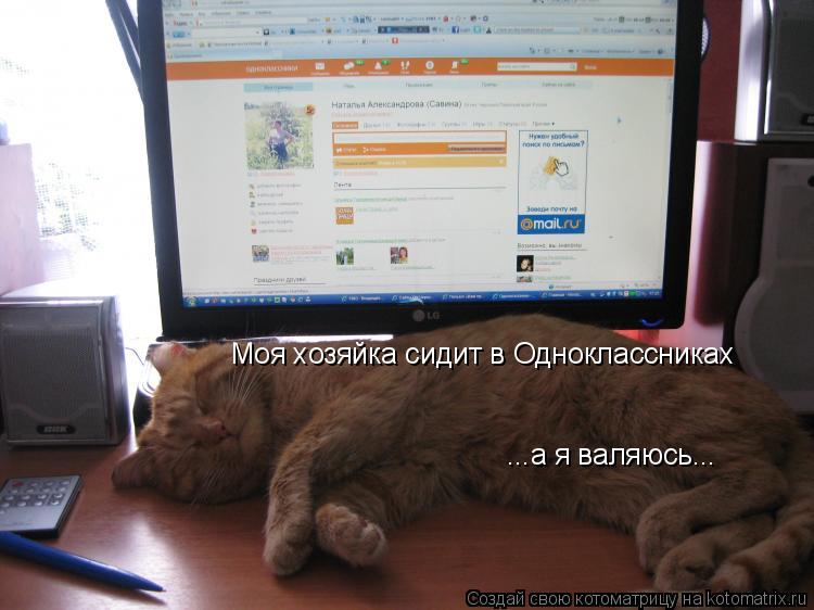 Моя хозяйка сидит в Одноклассниках ...а я валяюсь...... Котоматрица: Моя хозяйка сидит в Одноклассниках ...а я валяюсь...