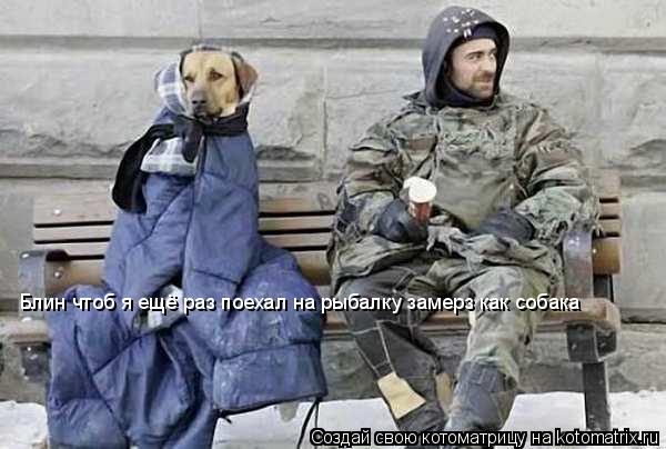 Блин чтоб я ещё раз поехал на рыбалку замерз как собака... Котоматрица: Блин чтоб я ещё раз поехал на рыбалку замерз как собака