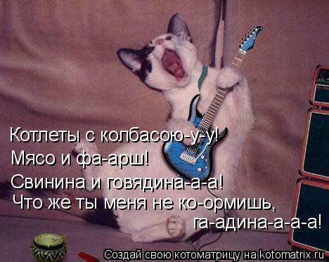 Котоматрица: Котлеты с колбасою-у-у! Мясо и фа-арш! Свинина и говядина-а-а! Что же ты меня не ко-ормишь, га-адина-а-а-а!