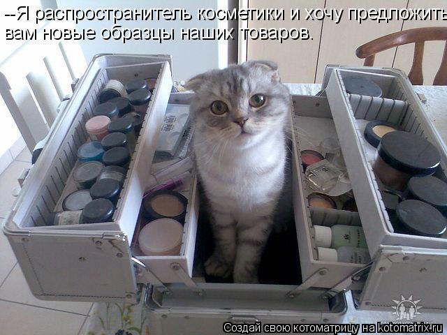 Котоматрица: --Я распространитель косметики и хочу предложить вам новые образцы наших товаров.