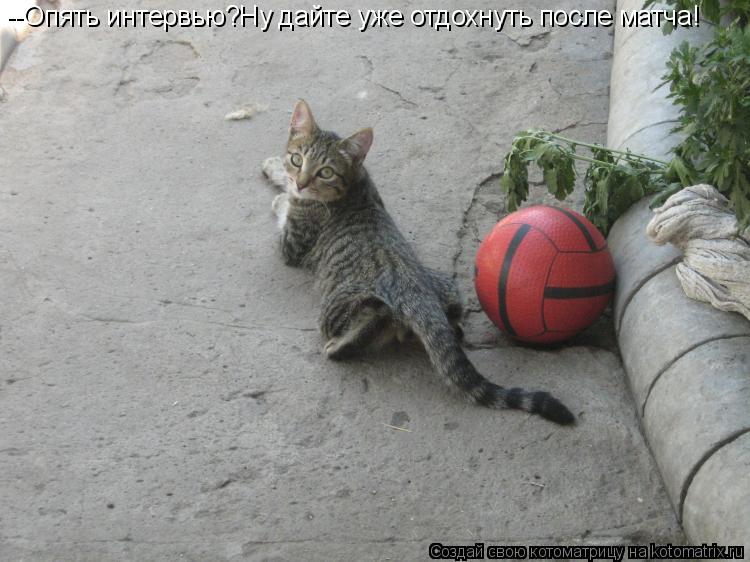 Котоматрица: --Опять интервью?Ну дайте уже отдохнуть после матча!