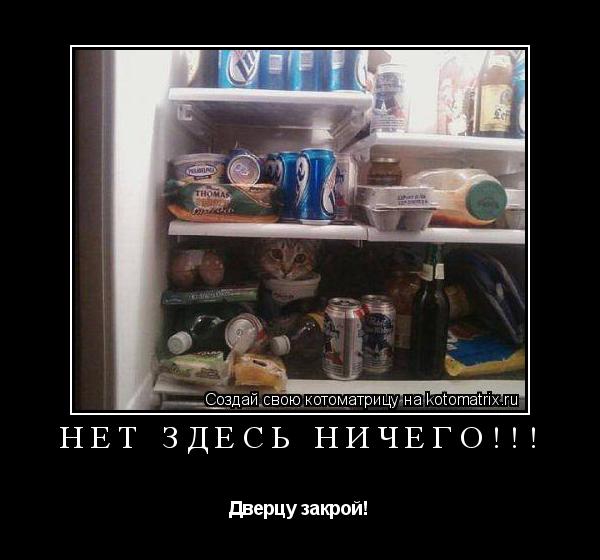 Нет здесь ничего!!! Дверцу закрой!... Котоматрица: Нет здесь ничего!!! Дверцу закрой!