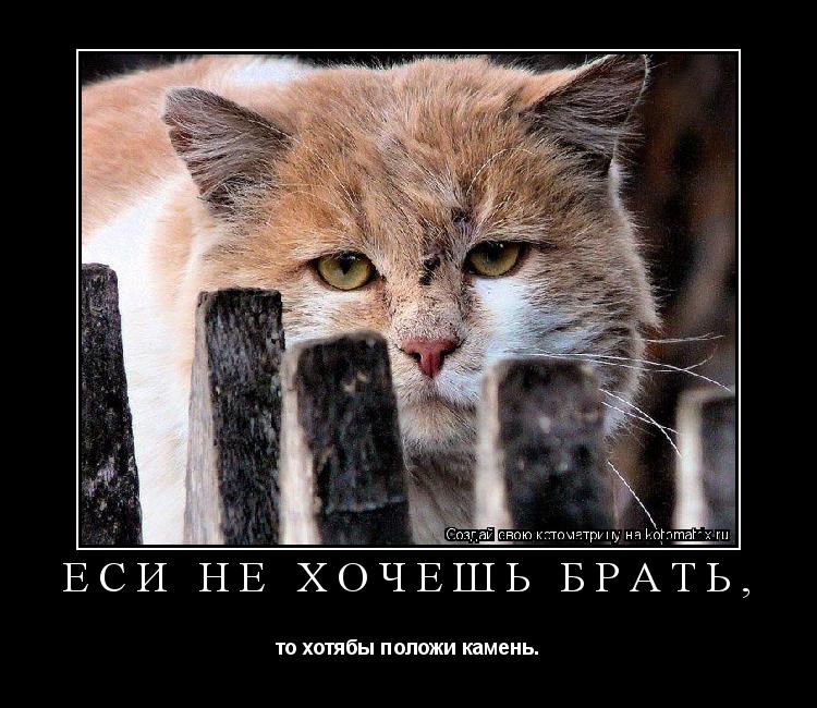 Еси не хочешь брать, то хотябы положи камень.... Котоматрица: Еси не хочешь брать, то хотябы положи камень.