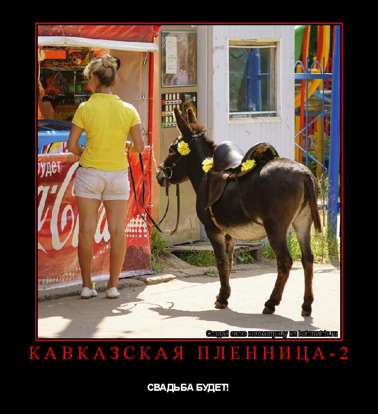 кавказская пленница-2 СВАДЬБА БУДЕТ!... Котоматрица: кавказская пленница-2 СВАДЬБА БУДЕТ!