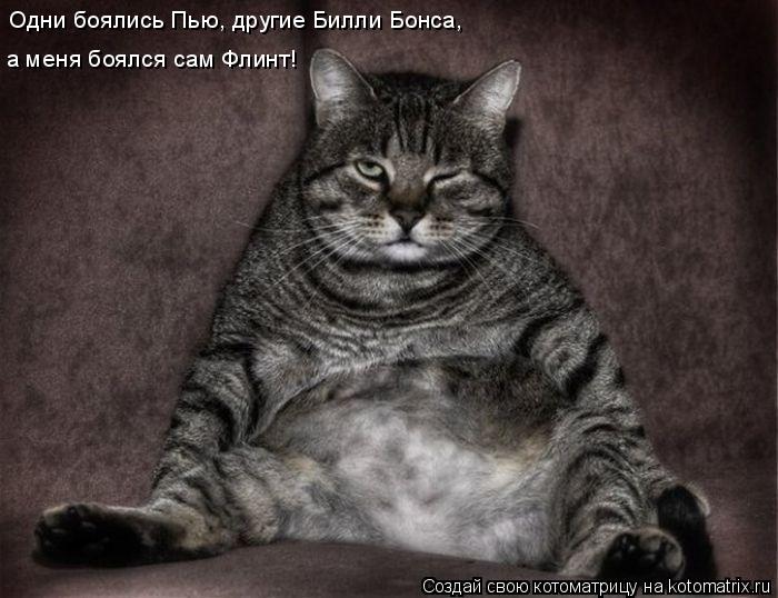 Одни боялись Пью, другие Билли Бонса, а меня боялся сам Флинт!... Котоматрица: Одни боялись Пью, другие Билли Бонса, а меня боялся сам Флинт!