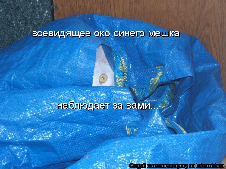 всевидящее око синего мешка наблюдает за вами...... Котоматрица: всевидящее око синего мешка наблюдает за вами...