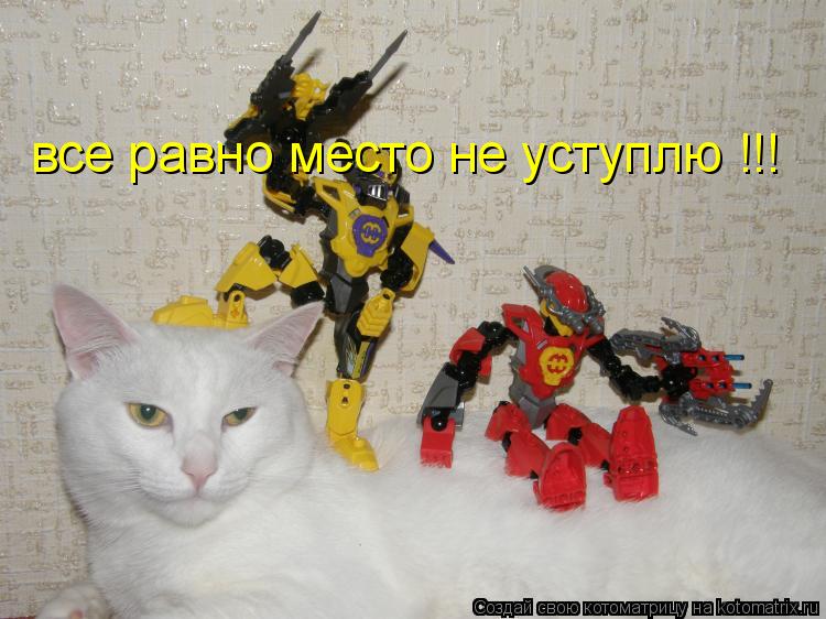 все равно место не уступлю !!!... Котоматрица: все равно место не уступлю !!!