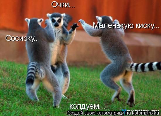 Котоматрица: колдуем... Сосиску... Очки... Маленькую киску...
