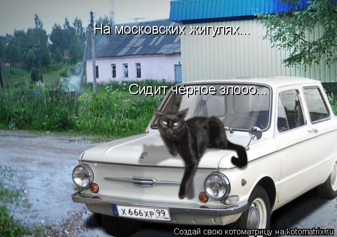 Котоматрица: На московских жигулях... Сидит чёрное злооо...