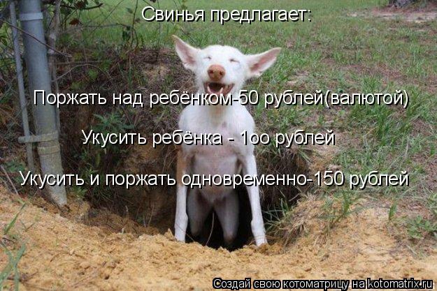 Котоматрица: Свинья предлагает: Поржать над ребёнком-50 рублей(валютой) Укусить ребёнка - 1оо рублей Укусить и поржать одновременно-150 рублей