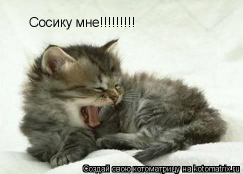 Котоматрица: Сосику мне!!!!!!!!!