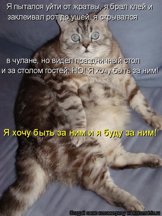 Котоматрица: Я пытался уйти от жратвы, я брал клей и заклеивал рот до ушей, я скрывался в чулане, но видел праздничный стол и за столом гостей..НО! Я хочу бы
