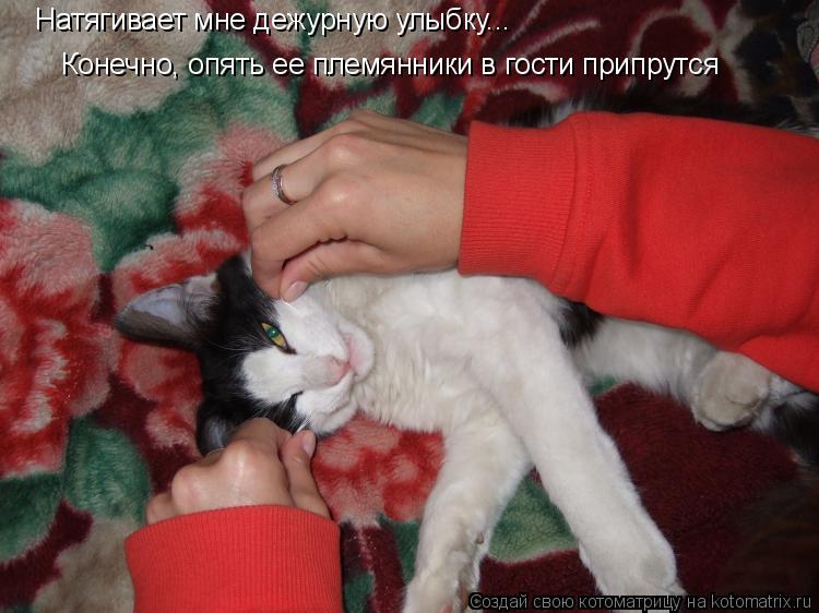 Котоматрица: Натягивает мне дежурную улыбку... Конечно, опять ее племянники в гости припрутся