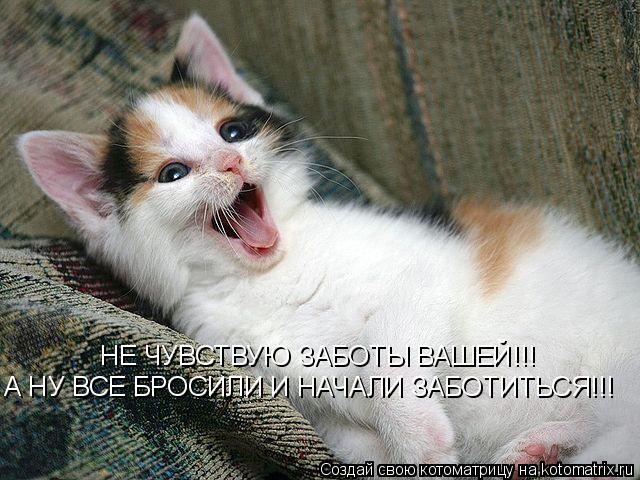 Котоматрица: НЕ ЧУВСТВУЮ ЗАБОТЫ ВАШЕЙ!!! А НУ ВСЕ БРОСИЛИ И НАЧАЛИ ЗАБОТИТЬСЯ!!!