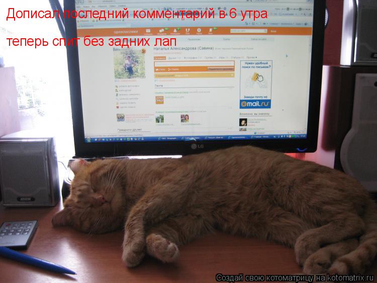 Котоматрица: Дописал последний комментарий в 6 утра теперь спит без задних лап